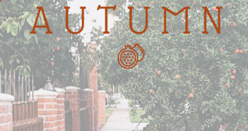 Autumn 2017 Newsletter