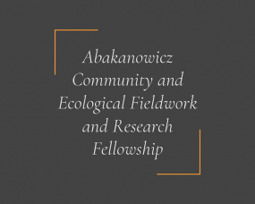 Abakanowicz Slide 1